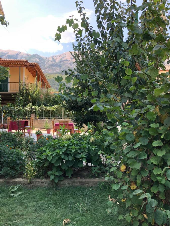 Hotel Villa Ago Përmet Extérieur photo